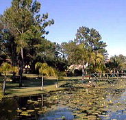 Twin Lakes Hotel - Foster Accommodation