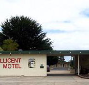 Millicent Motel