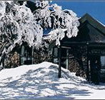 Arlberg Hotel Mt Buller - Foster Accommodation