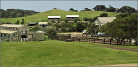 Cape Schanck VIC Foster Accommodation