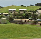 Ace Hi Riding Ranch - Foster Accommodation