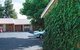 Shannon Motor Inn - thumb 3