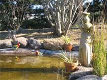 Murray Gardens Motel And Cottages - Foster Accommodation 2