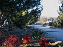 Murray Gardens Motel And Cottages - Foster Accommodation 3