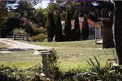  Foster Accommodation