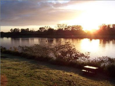 Colonial Court Motor Inn - Foster Accommodation 2