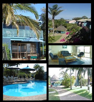 Pandanus Palms Resort - Foster Accommodation 1