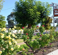 Narrogin Motel - Foster Accommodation
