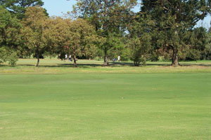 Beach Motor Inn - Foster Accommodation 7