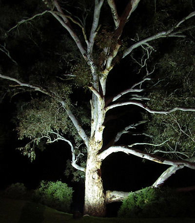 Tally Ho Lodge - Foster Accommodation 3