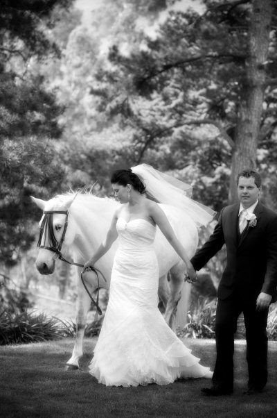 Tally Ho Lodge - Foster Accommodation 6