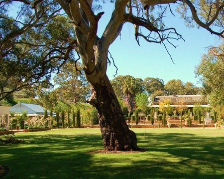 Jacobs Creek Retreat At Moorooroo Park - Foster Accommodation 3