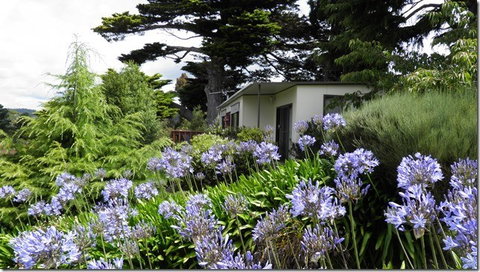 Tamar River Retreat - Foster Accommodation 5