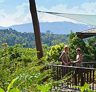 Rose Gums Wilderness Retreat - Foster Accommodation