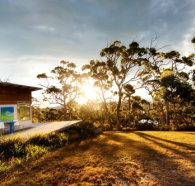 Bruny Island Experience - Foster Accommodation