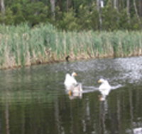 Summer Cottage - Foster Accommodation