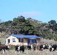 Marrawah Beach House - Foster Accommodation