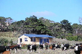 Marrawah Beach House - Foster Accommodation 0