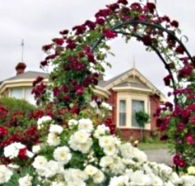 Golden Embers Apartments and B and B - Foster Accommodation