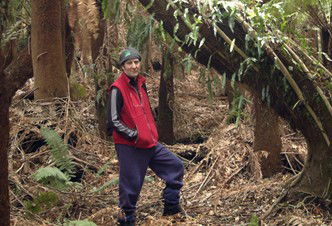 Forest Walks Lodge - Eco-Accommodation - Foster Accommodation 3