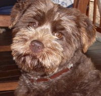 Lagoon Pocket Bed and Breakfast - Foster Accommodation