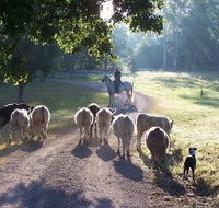 Brooloo Park - Foster Accommodation
