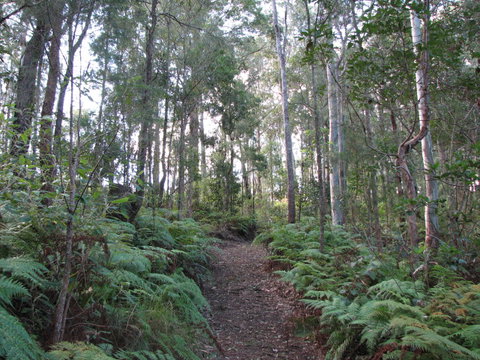 Maleny Country Cottages - Foster Accommodation 1