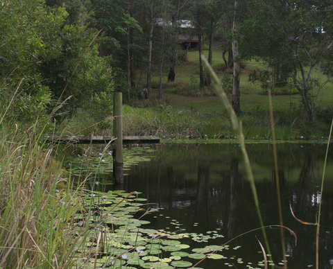 Maleny Country Cottages - Foster Accommodation 4
