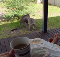 Bush and Bay Cottage - Foster Accommodation
