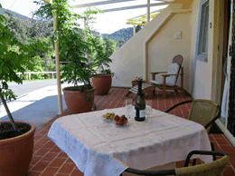 A View Of Mt Warning Bed And Breakfast - thumb 2