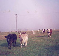 Seeview Farmstay - Foster Accommodation