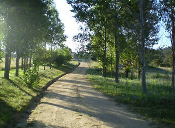 Mia Creek Bed And Breakfast - Foster Accommodation 0