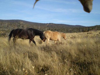 Mia Creek Bed And Breakfast - Foster Accommodation 3