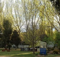 Snowy River Holiday Park - Foster Accommodation