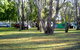 Corowa Caravan Park - thumb 4