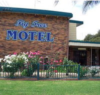 Fig Tree Motel - Foster Accommodation