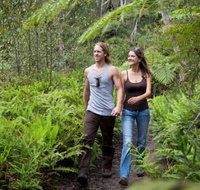 Blackheath Glen Tourist Park - Foster Accommodation
