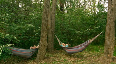 Bingle Tree Retreat - Foster Accommodation 1