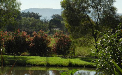 Amazing Country Escapes - Evanslea By The River - Foster Accommodation 4