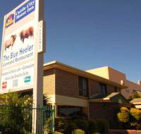 Best Western Cattle City Motor Inn - Foster Accommodation