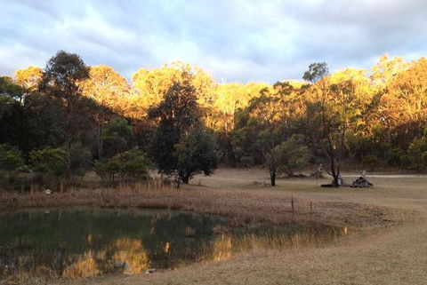 Possums Hollow And Hooters Hut - Foster Accommodation 1