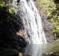 Binna Burra Mountain Lodge - Foster Accommodation