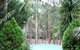 Fern Gulley Retreat - thumb 0