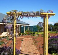 Lavendale Farmstay and Cottages - Foster Accommodation