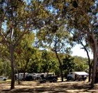 Barracrab Caravan Park - Foster Accommodation