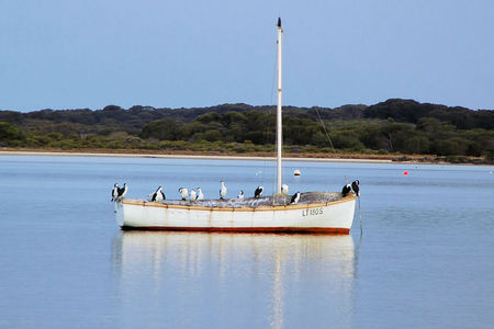 Riverview Cottage - Foster Accommodation 1