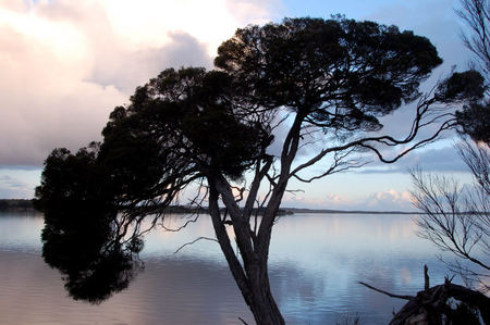 Riverview Cottage - Foster Accommodation 4