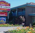 Strzelecki Motor Lodge - Foster Accommodation