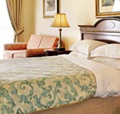 Canterbury International Hotel - Foster Accommodation