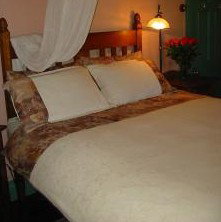 Maddies Of Bolwarra - Foster Accommodation 3